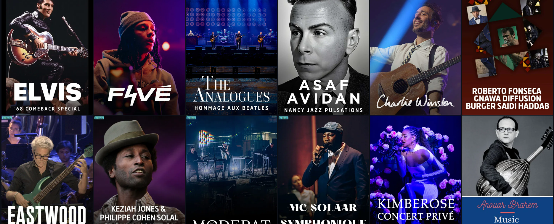 concerts_arte_vod.jpeg